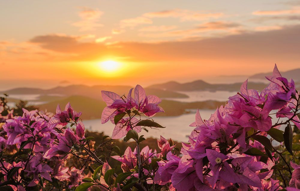 virgin islands at sunset