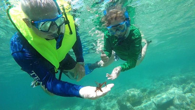 offshore reef ensures calm waters for swimming and snorkeling